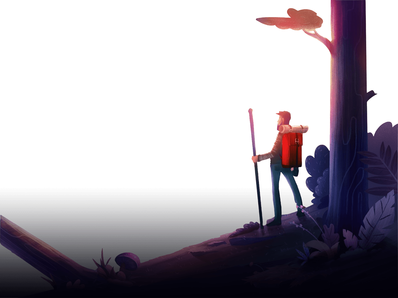 lone-travellers-blog-hero-section