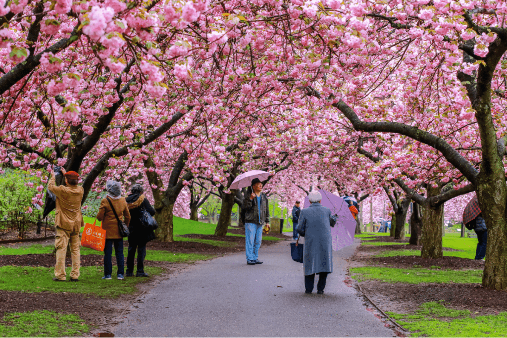New-York-in-Spring