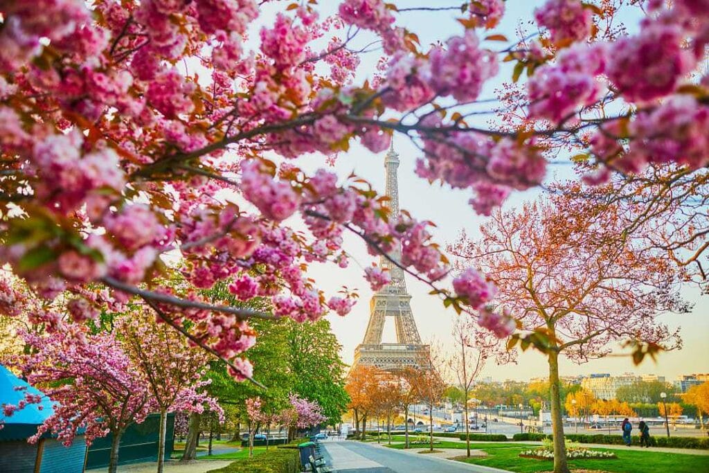 Paris-in-spring