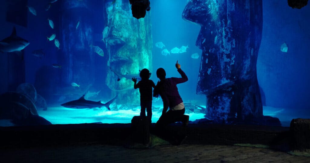 Sea Life Aquarium London