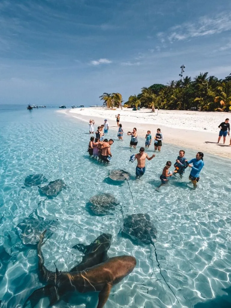 fulidhoo island