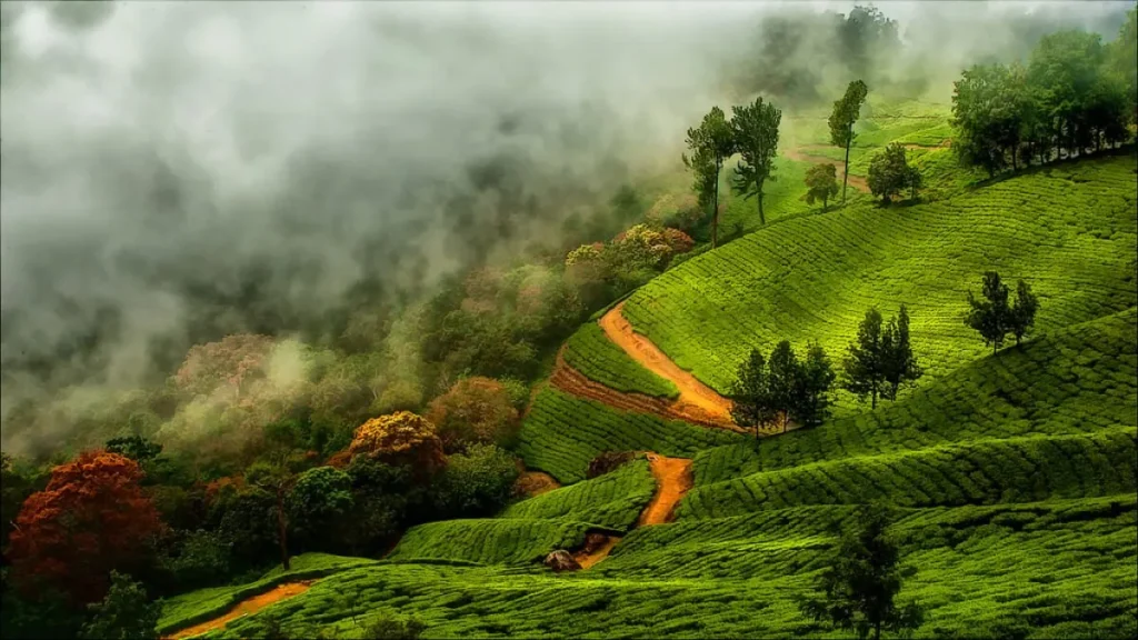 Beautiful-Munnar-views