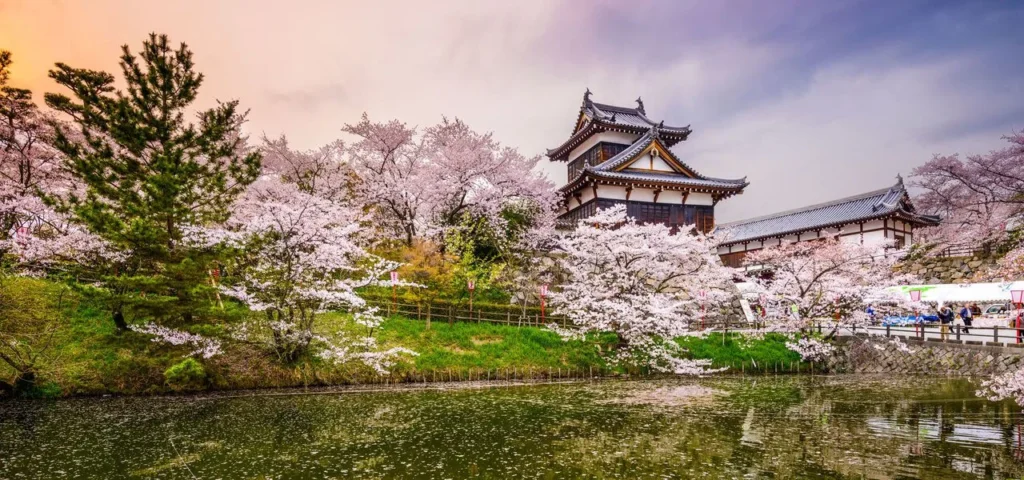 best-time-to-visit-tokyo