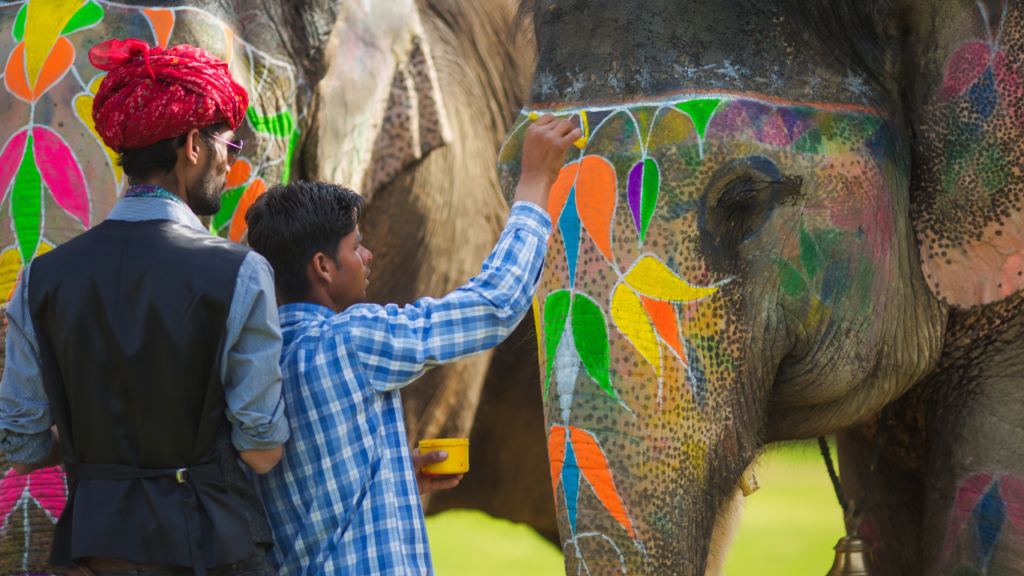 Holi-with-Elephants