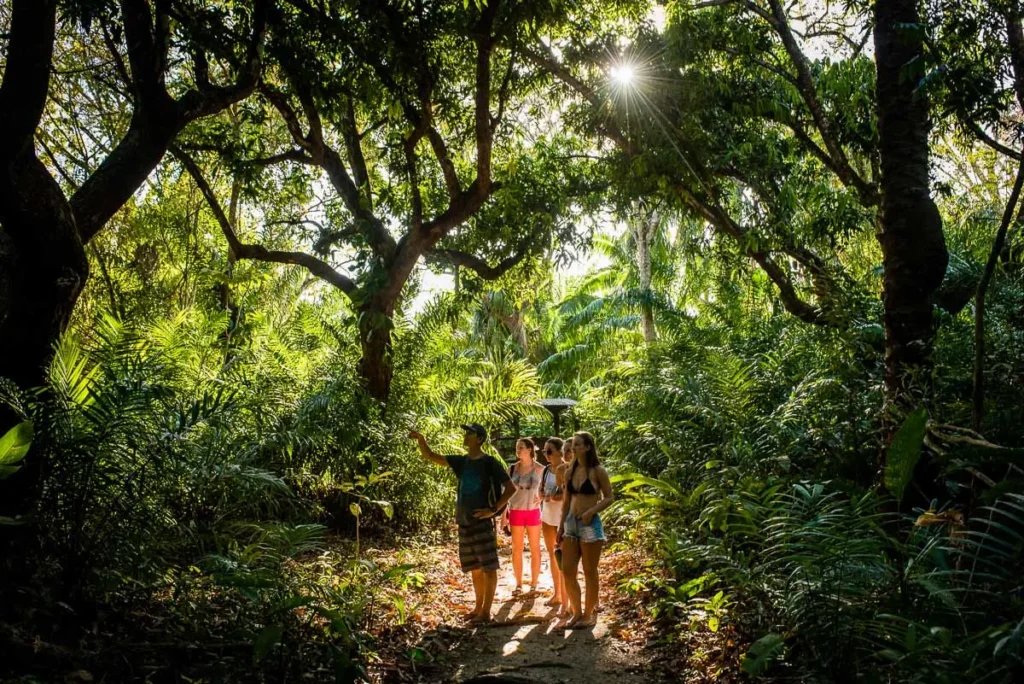 best-time-to-visit-Costa-Rica