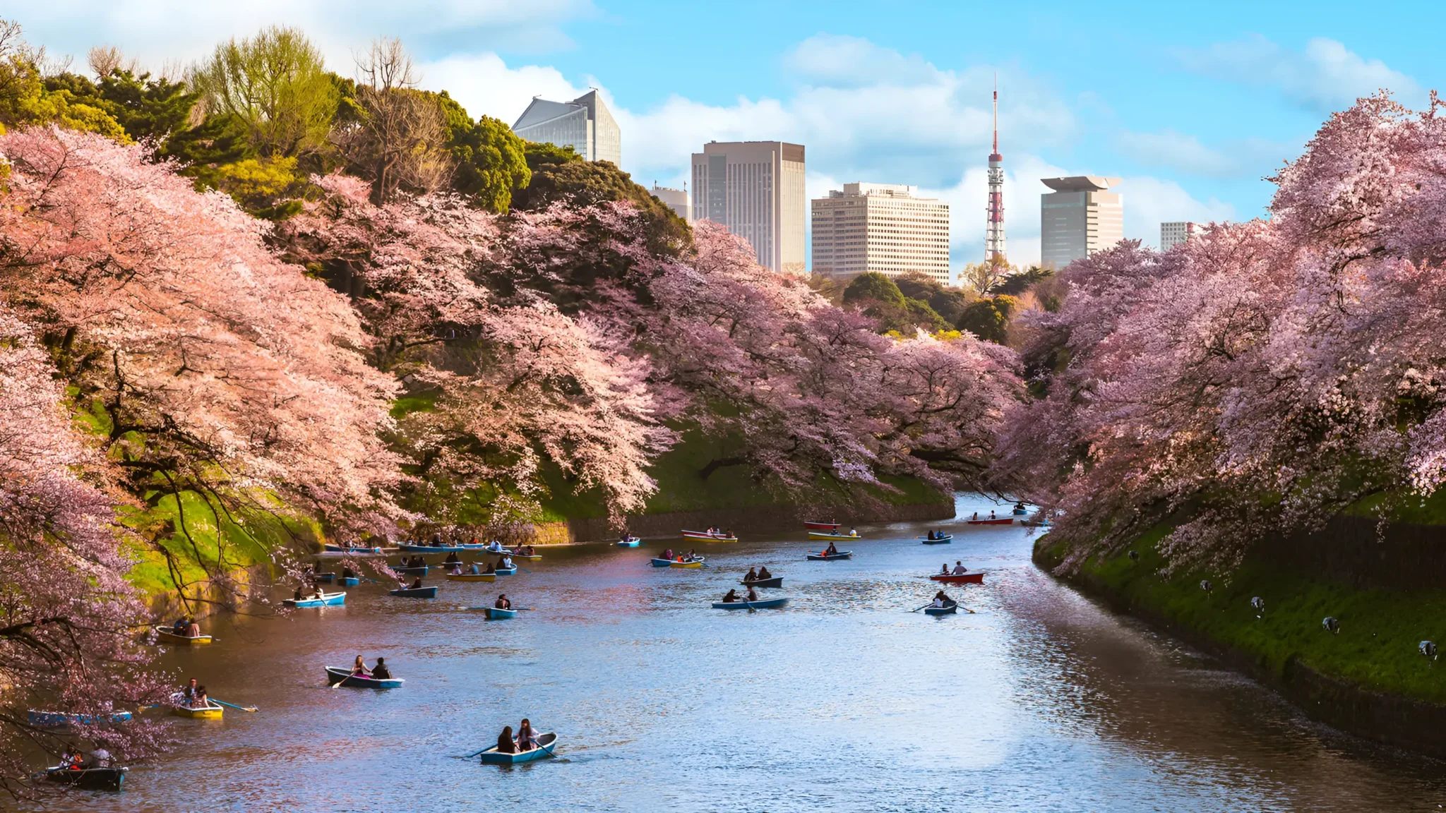 best-time-to-visit-tokyo