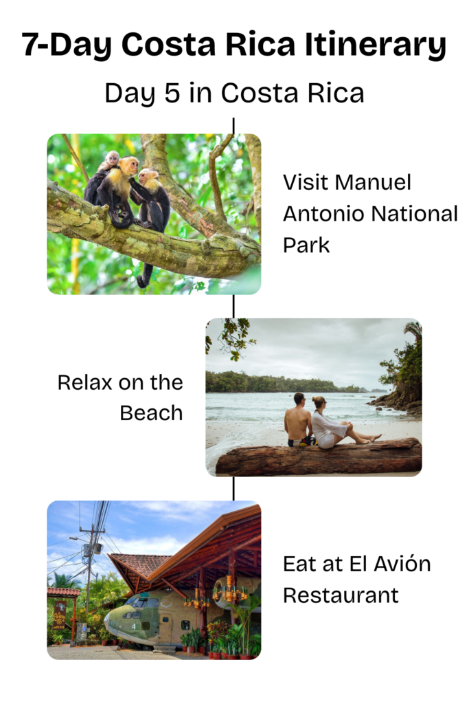 Day trip to Manuel Antonio National Park with monkeys, beach relaxation, and dining at El Avión restaurant.