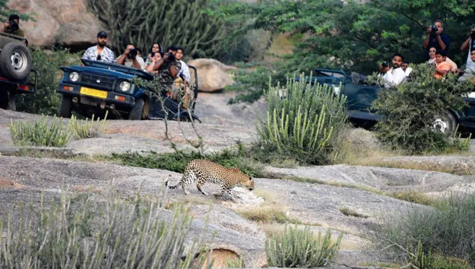 How to reach Jawai from delhi