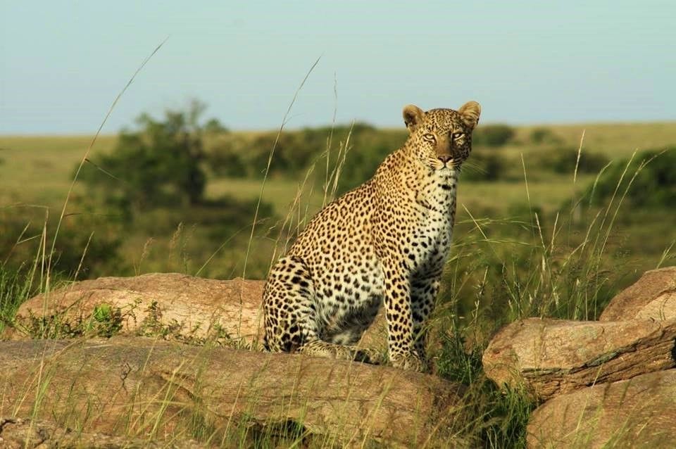 Things to do in Jawai