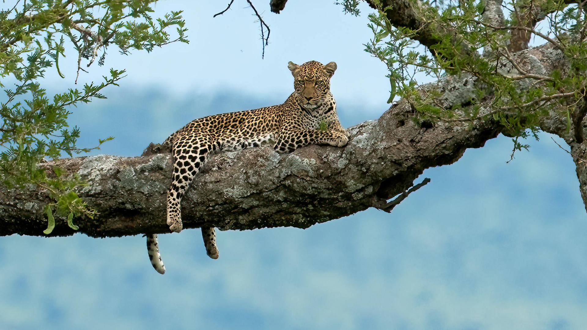 Jawai 2 Day Itinerary