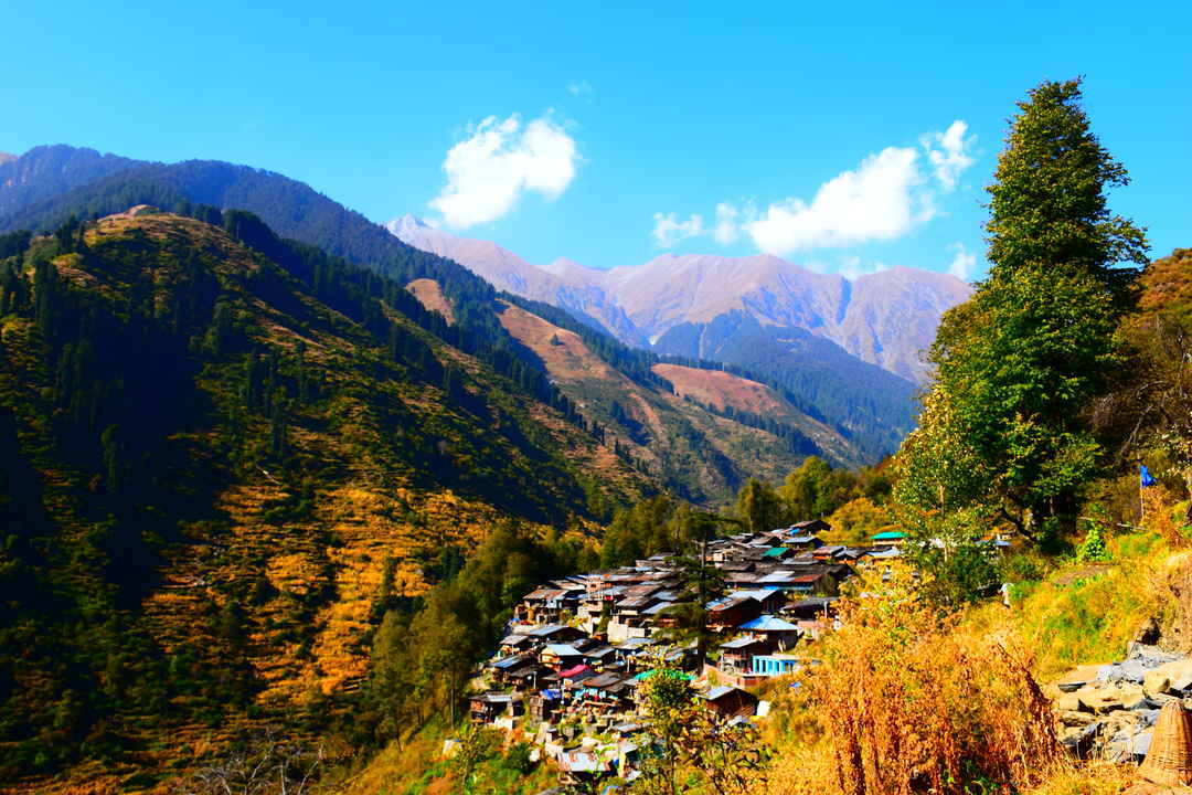 polling village of Barot Valley