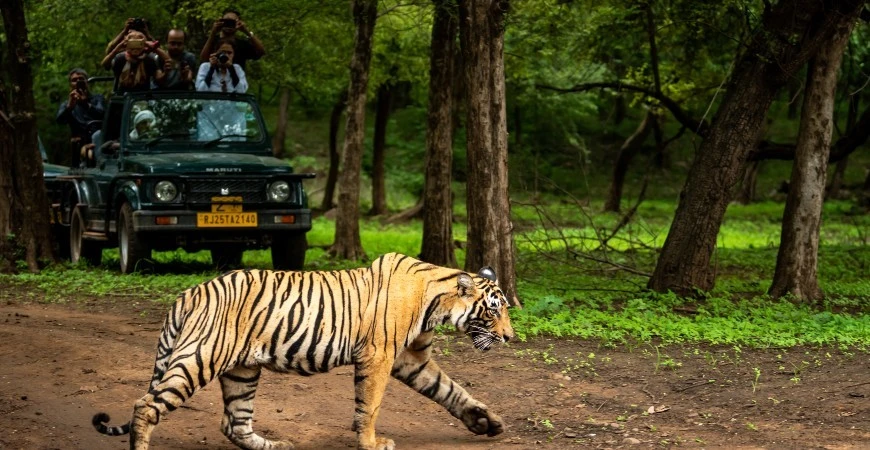 how to book pench national park safari