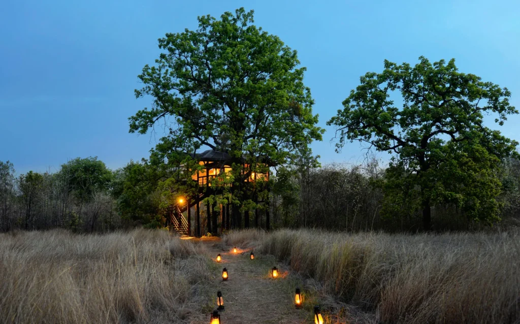 pench tree house